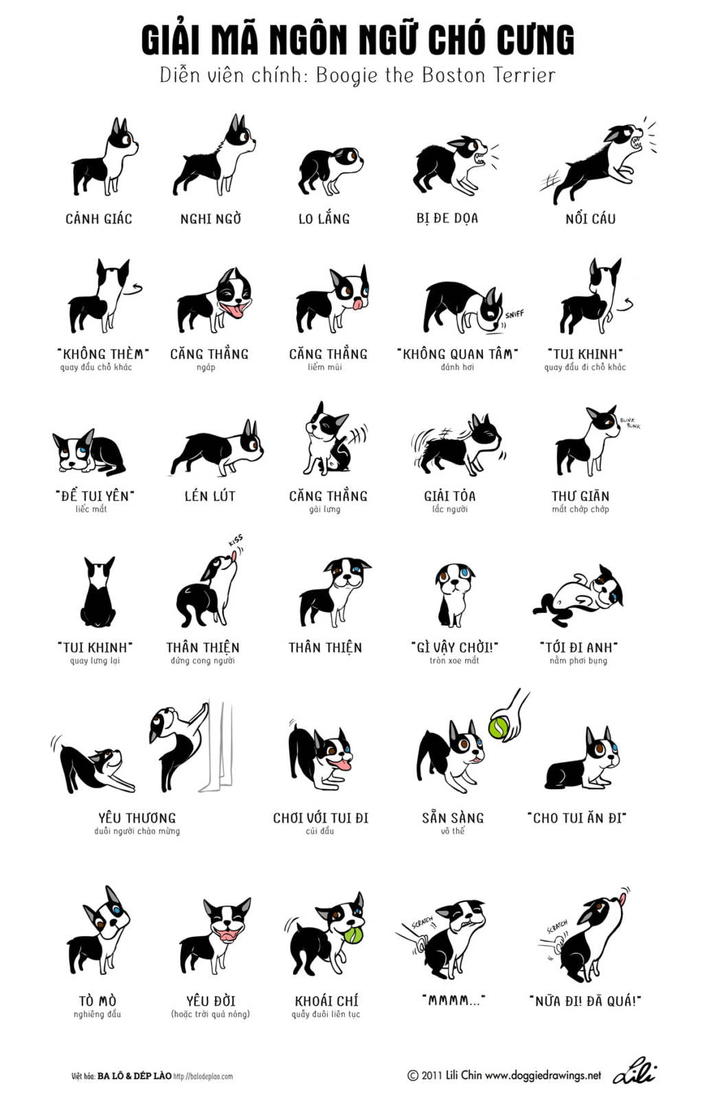 [Infographic] Giải mã ngôn ngữ chó cưng