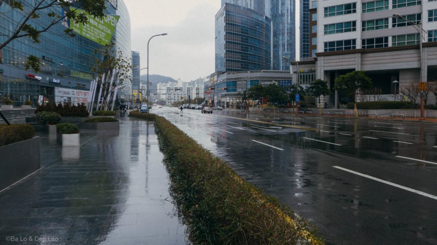 Một buổi chiều mưa ở Busan