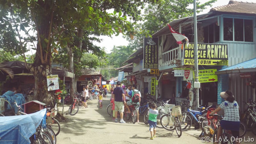 Trên đảo có rất nhiều nơi cho thuê xe đạp. 