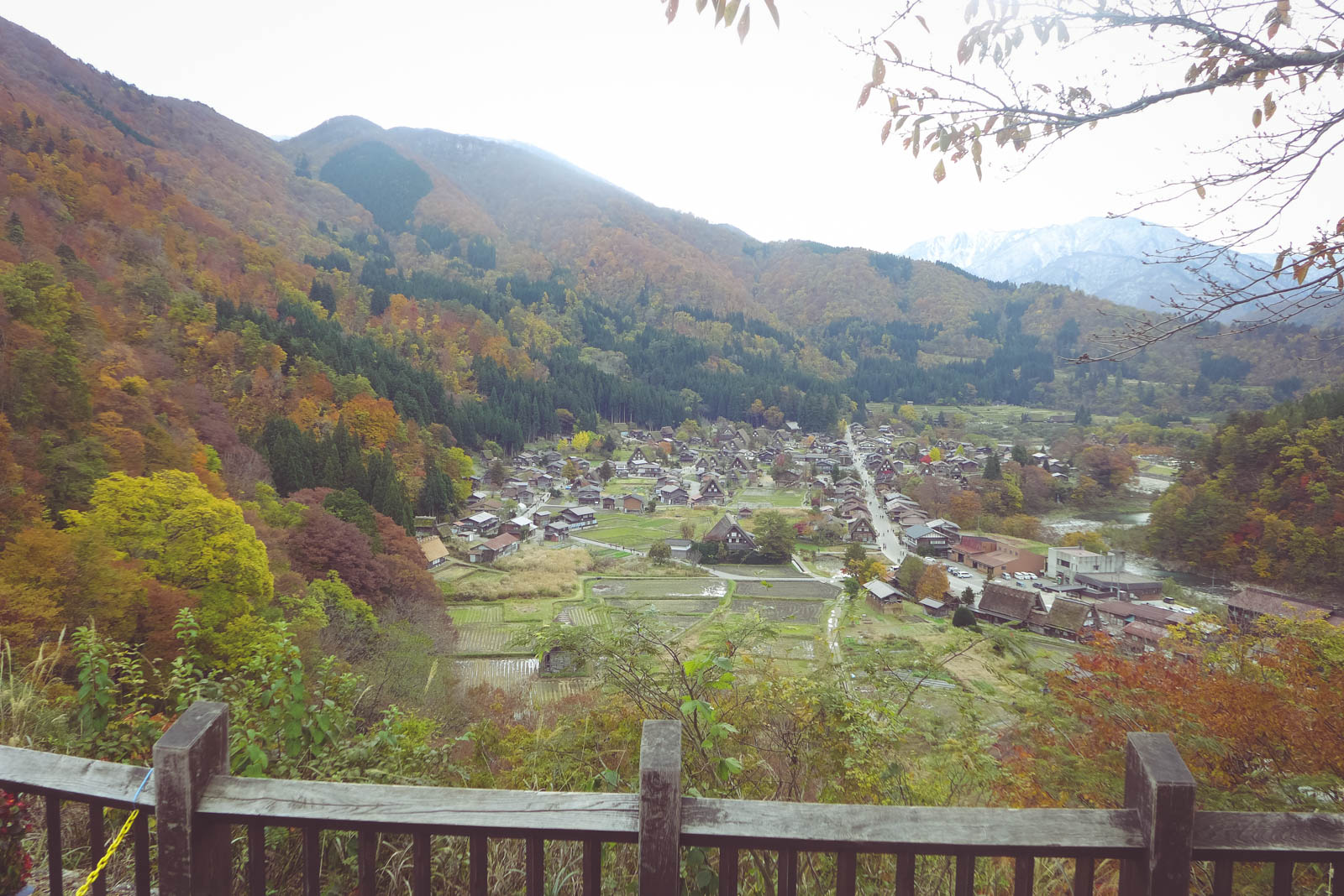[Nhật ký du lịch Nhật Bản tự túc] Ngày 9-10: Vẻ đẹp chạm tim của Làng cổ Shirakawago