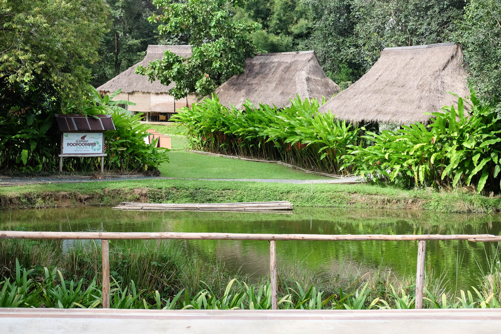Du lịch Chiang Mai – Độc đáo với công viên giấy từ phân voi POOPOO Paper Park