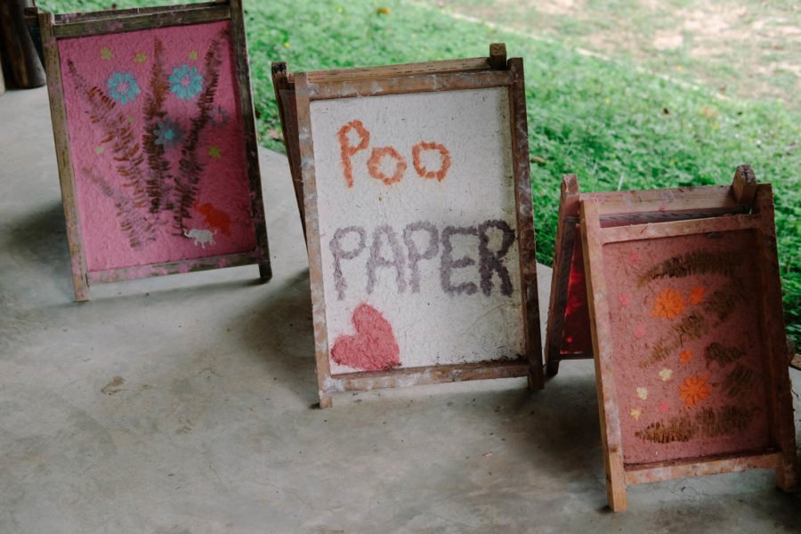 poopoo paper park22