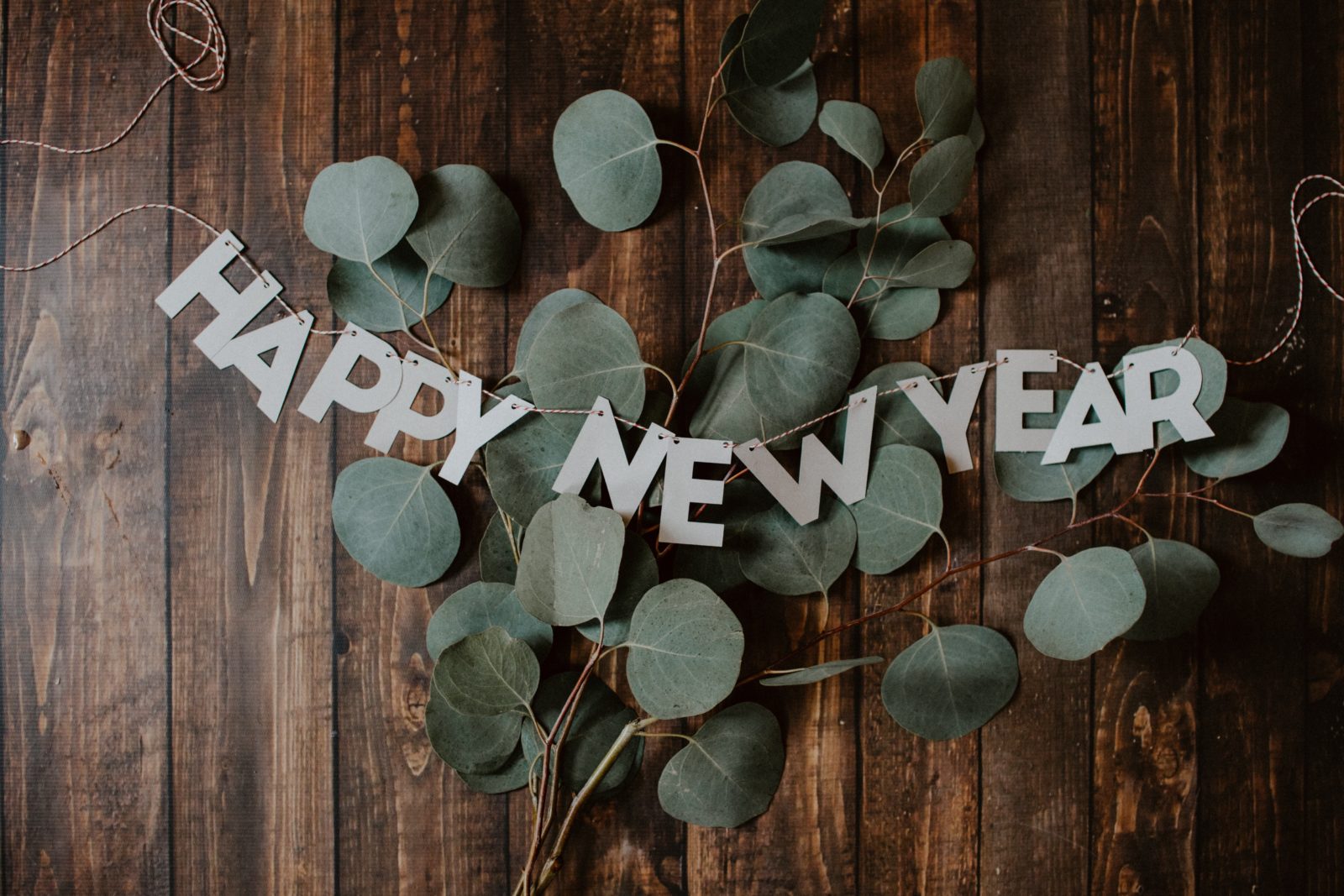 Chúc mừng năm mới 2020 – Tổng kết 2019 Một năm đời thường đáng nhớ của BLDL